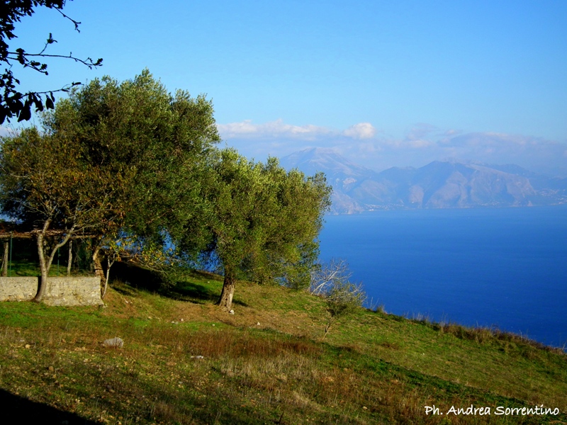 La riscossa digireale del Cilento parte da...Camerota