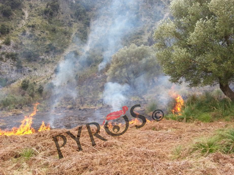 Incendio in località Ceraseto