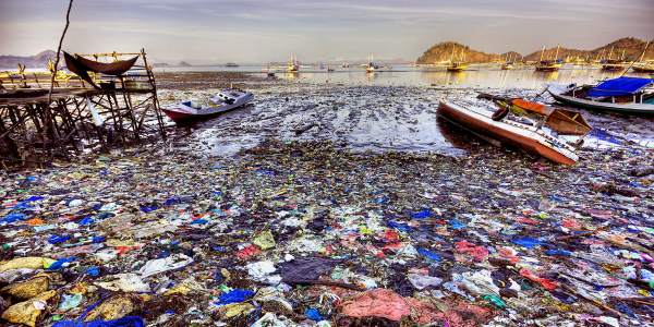 Il mare d\'inverno: i volontari di Fare Verde impegnati a pulire le spiagge del golfo