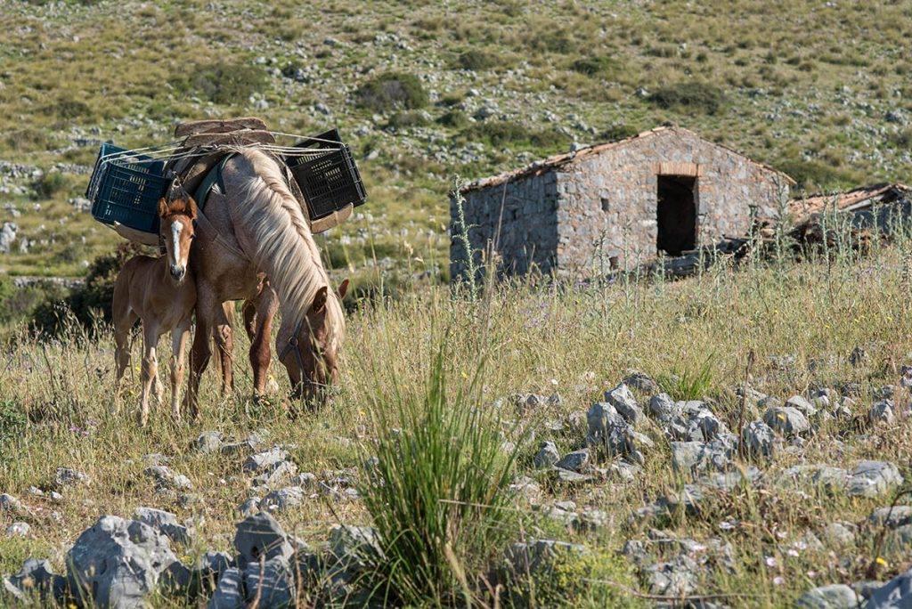 15 spettacolari idee per gli jazzi del Monte Bulgheria