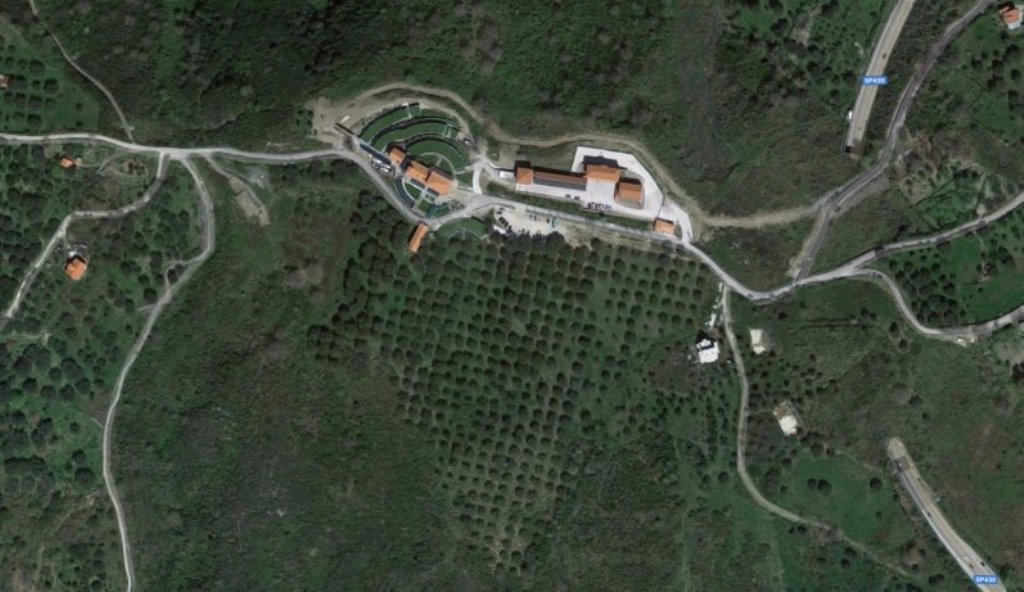 II Parco indice un bando per la valorizzazione dell'Uliveto di Tenuta Montesani