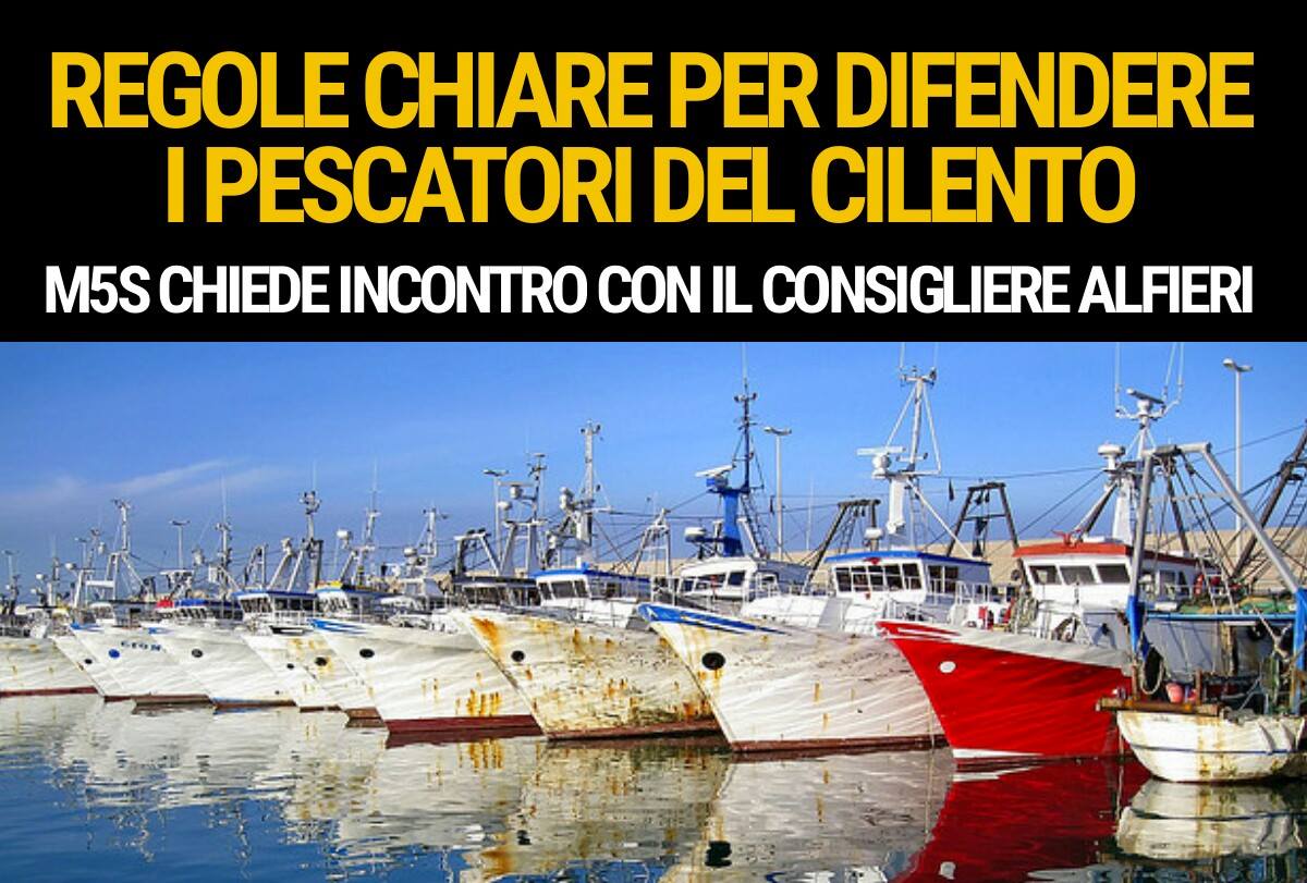 Michele Cammarano: regole chiare per difendere i pescatori del Cilento