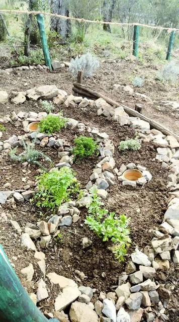 Vivere il Bosco: inaugurazione del progetto presso il Parco Catena