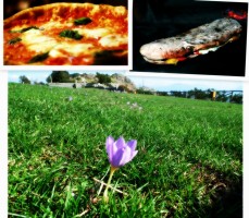 Pizza e panuozzo sotto le stelle