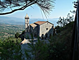 Signora del posto morsa da una vipera