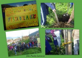 Festa dell'Albero 2012