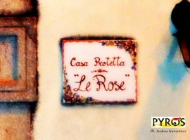 I lavoratori del Centro Le Rose: non siamo soddisfatti, non ci sono vincitori