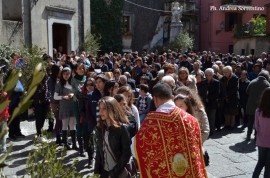 La Domenica delle Palme a San Giovanni a Piro
