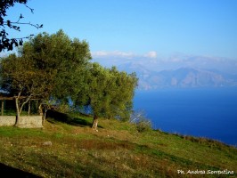 La riscossa digireale del Cilento parte da...Camerota