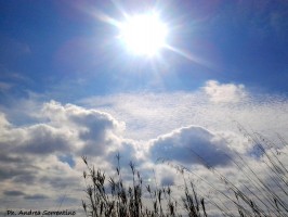 Approvato il Joint Paes Golfo Di Policastro