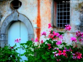 Paese in fiore 2013, il bando di concorso promosso dal comune