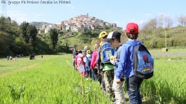 Gli alunni del Gaza a scuola di 'grano'