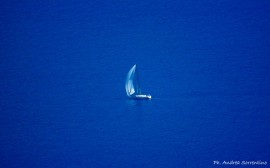 La Regata delle Torri Saracene nel Golfo di Policastro