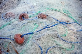 Guardia Costiera di Palinuro sequestra 7 km di reti illegali al largo della costa di Scario