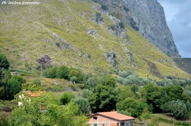 Ennesimo rogo alle pendici del Monte Bulgheria 