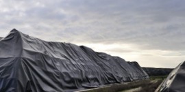 Bonifica per la Terra dei fuochi, la petizione