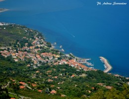 Istituzione doppio senso di circolazione in via P. Amedeo a Scario