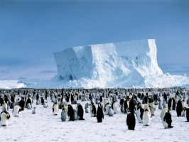 Il silenzio dell'Antartide, convegno sull' inquinamento