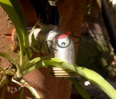 Rubinetti a secco a San Giovanni a Piro