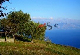 7 denunciati per reati ambientali tra Scario e Marina di Camerota