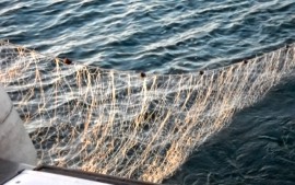 Pesca illegale nell'Area Marina Protetta della Masseta