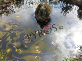 San Giovanni a Piro: gesto vandalico nei giardini comunali