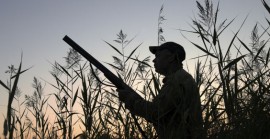 Caccia: approvato il nuovo calendario venatorio