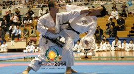 Il maestro Guzzo a Copenhagen al JKS European Championship 2014