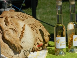 A Caselle in Pittari il decimo Palio del Grano, le immagini