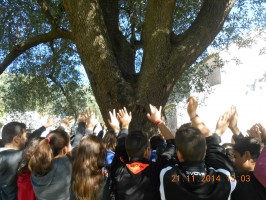 Festa dell'Albero: tra passato, presente e futuro