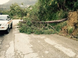 S. Giovanni a Piro: cade un albero, la Protezione Civile libera la strada