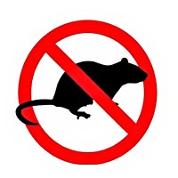 Attenzione: avviso derattizzazione sul territorio comunale di S. Giovanni a Piro