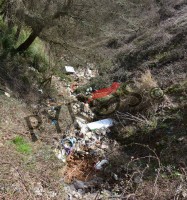 Il WWF chiede la bonifica del Vallone Friscarulo