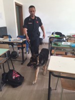 Blitz anti-droga nelle scuole di Sapri