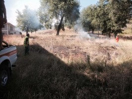 La Protezione Civile all'opera per spegnere i primi incendi di stagione a S. Giovanni a Piro
