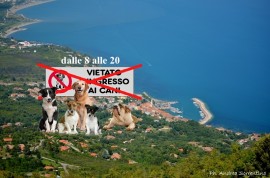 S. Giovanni a Piro: arriva il divieto per i cani su tutte le spiagge del comune