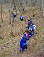 Le associazioni Quintessenza e HiTrek organizzano una escursione guidata sul Monte Cervati-inghiottitoio di Vallivona