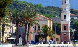 Scario: il Sindaco ordina l'immediato abbattimento delle 11 palme del lungomare