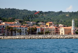 Le palme di Scario pronte ad essere abbattute