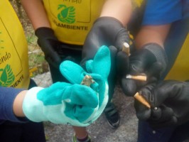 Le scuole di San Giovanni a Piro, Bosco e Scario in strada per Puliamo il Mondo
