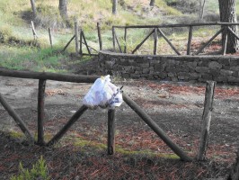 Fare Verde propone a Vibonati una 'mattinata di educazione ambientale'