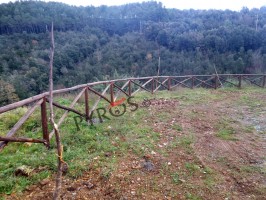 Volontari piantano 4 alberi, ignoti li sradicano dopo 2 giorni