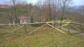 Una domenica di 'volontariato ecologico' a Bosco