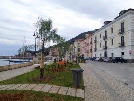 Scario: ritornano le piante sul lungomare