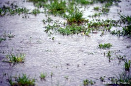 Festa del primo Maggio posticipata a data da destinarsi