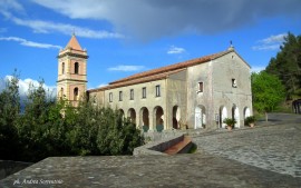 Festa di Pietrasanta 2016: le celebrazioni in diretta streaming