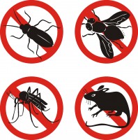 Questa sera disinfestazione sul territorio comunale di San Giovanni a Piro