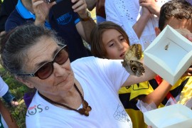 La Danza delle Farfalle, in ricordo di Dorotea Di Sia