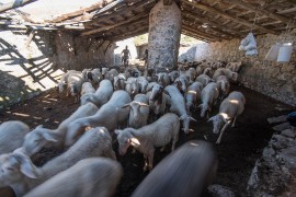 Un bando internazionale per rigenerare e rivalutare gli 'jazzi' del Monte Bulgheria