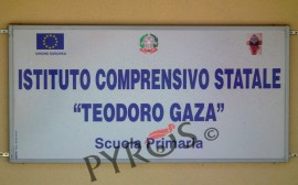 I.C. Teodoro Gaza: giorno 27 le elezioni per i rappresentanti degli Organi Collegiali